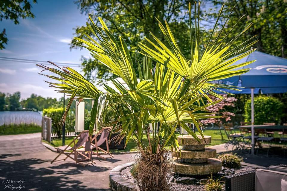 Sopherl Am See - Fruehstueck Auf Der Seeterrasse, Sehr Ruhig Und Wunderschoen Am See, 3 Minuten Nach Oberpfaffenhofen, Viele Radtouren, Restaurants & Cafes In Der Umgebung Weßling Exteriér fotografie